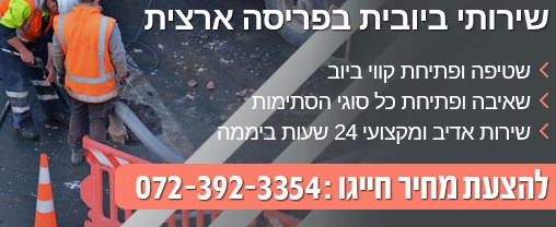 תמונה ביובית